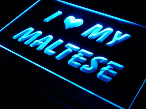 I Love My Maltese Dog Pet Neon Light Sign